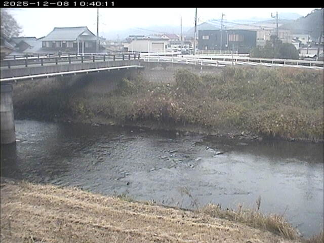 蒲生川２2025/12/08 11:30:00