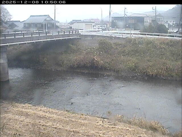 蒲生川２2025/12/08 11:30:00