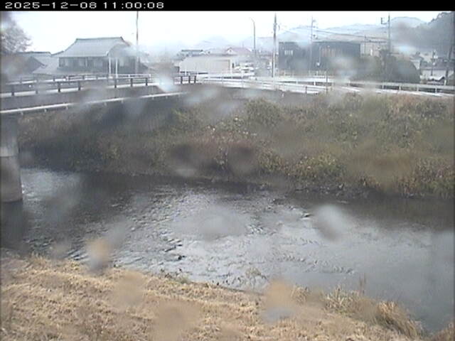 蒲生川２2025/12/08 11:30:00