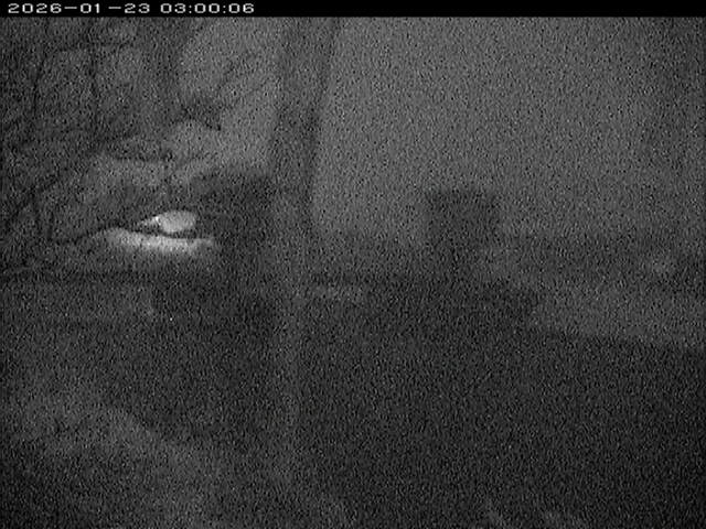 塩見川潮止堰2026/01/24 2:00:00