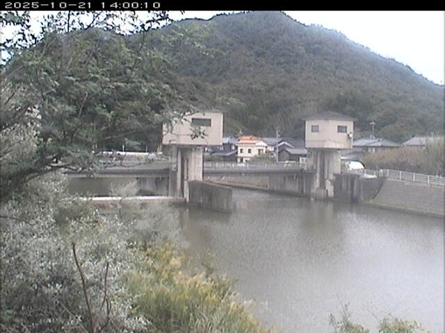 塩見川潮止堰2025/10/22 11:20:00