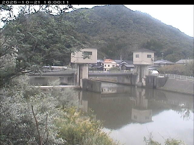 塩見川潮止堰2025/10/22 11:20:00