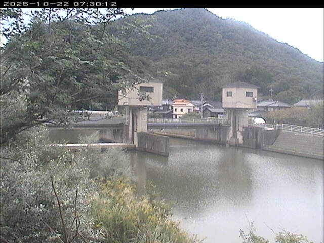 塩見川潮止堰2025/10/22 11:20:00