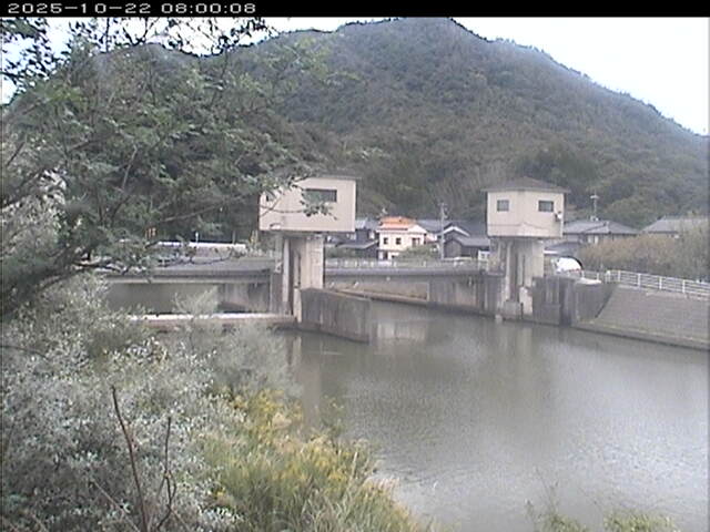 塩見川潮止堰2025/10/22 11:20:00