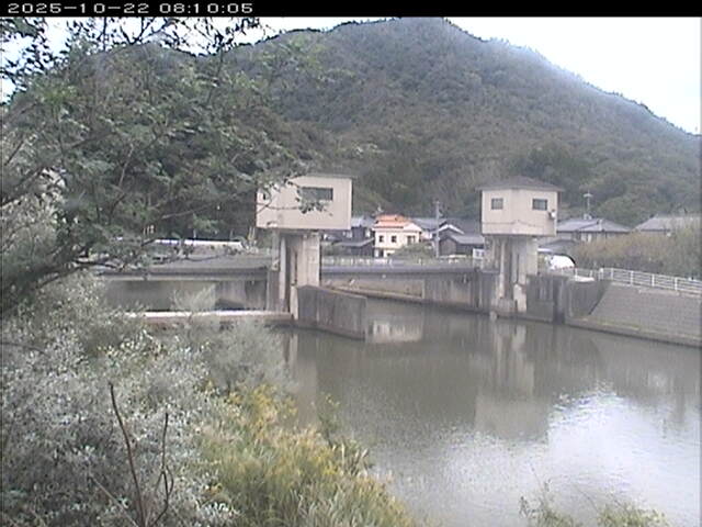 塩見川潮止堰2025/10/22 11:20:00