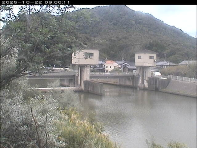 塩見川潮止堰2025/10/22 11:20:00