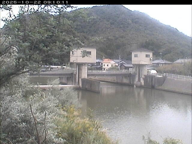 塩見川潮止堰2025/10/22 11:20:00