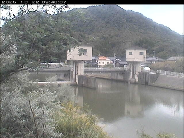 塩見川潮止堰2025/10/22 11:20:00