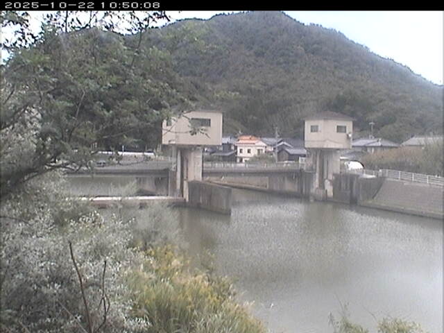 塩見川潮止堰2025/10/22 11:20:00