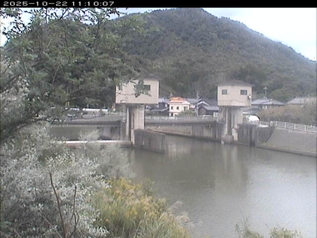 塩見川潮止堰2025/10/22 11:20:00