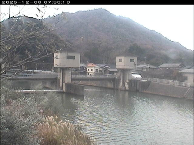 塩見川潮止堰2025/12/08 11:30:00