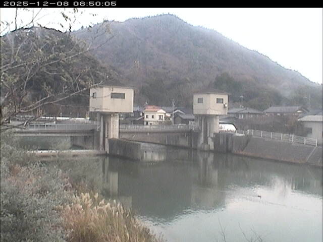 塩見川潮止堰2025/12/08 11:30:00