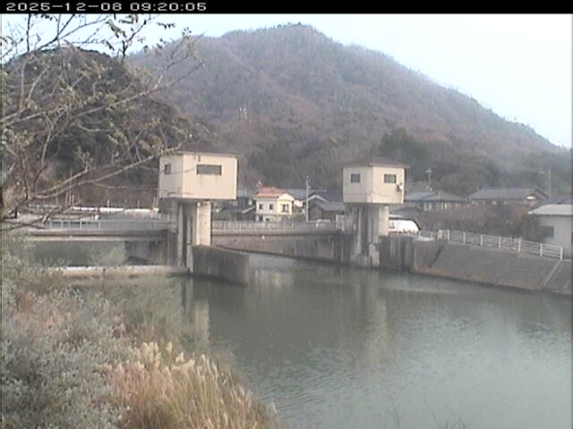 塩見川潮止堰2025/12/08 11:30:00
