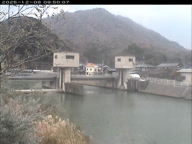 塩見川潮止堰2025/12/08 11:30:00