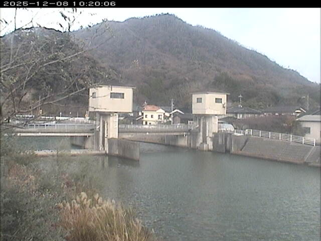 塩見川潮止堰2025/12/08 11:30:00