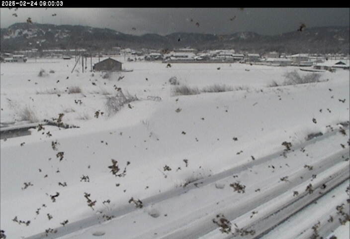 大路川５2026/02/25 2:30:00