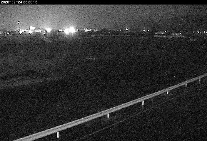 大路川５2026/02/25 2:30:00