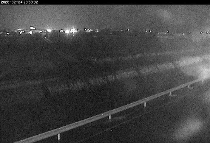 大路川５2026/02/25 2:30:00