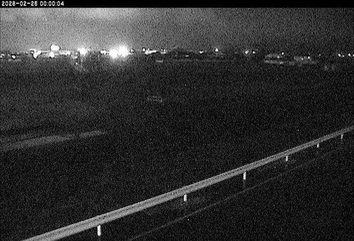 大路川５2026/02/25 2:30:00