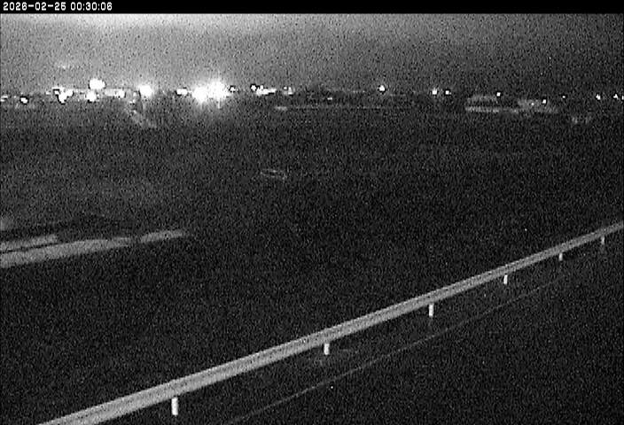 大路川５2026/02/25 2:30:00