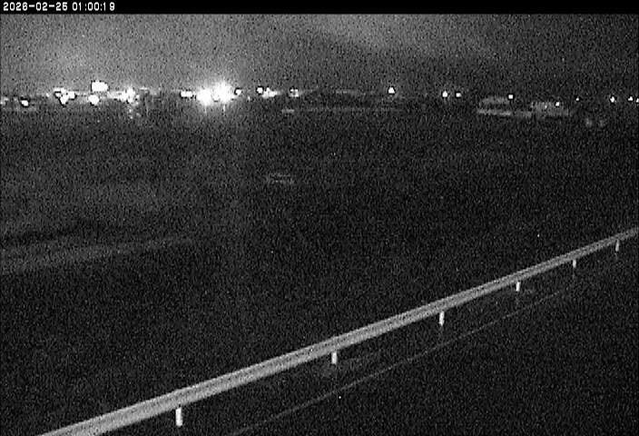 大路川５2026/02/25 2:30:00