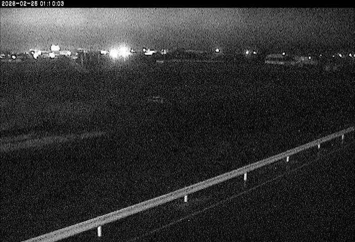 大路川５2026/02/25 2:30:00