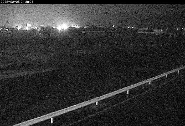 大路川５2026/02/25 2:30:00