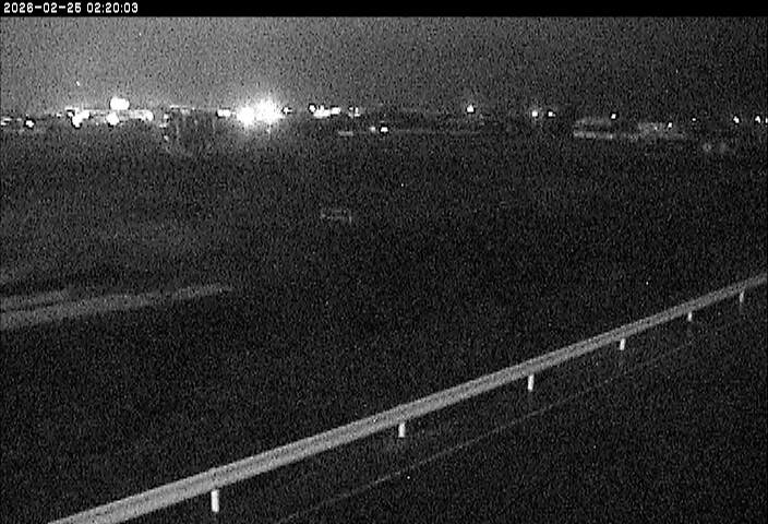 大路川５2026/02/25 2:30:00