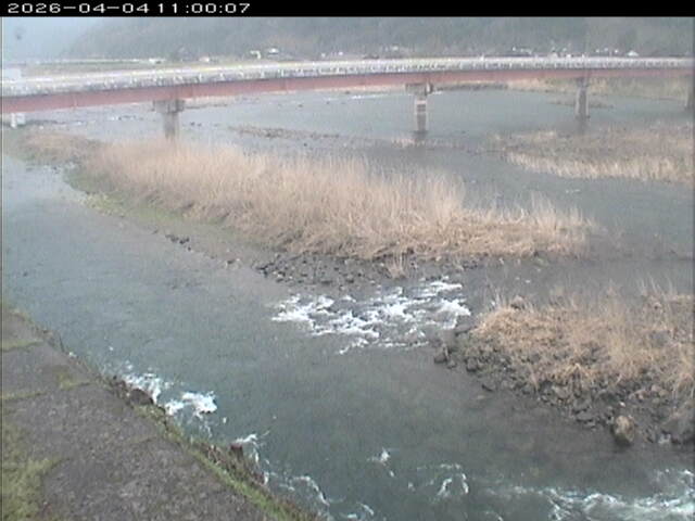 八東川１2026/04/05 3:30:00