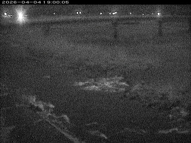 八東川１2026/04/05 3:30:00