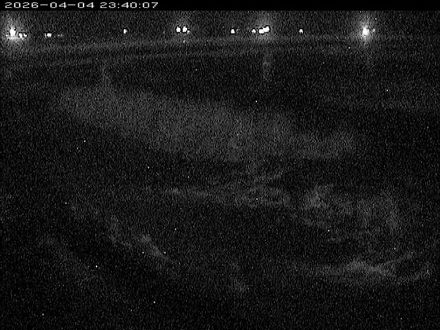 八東川１2026/04/05 3:30:00