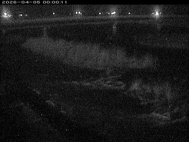 八東川１2026/04/05 3:30:00