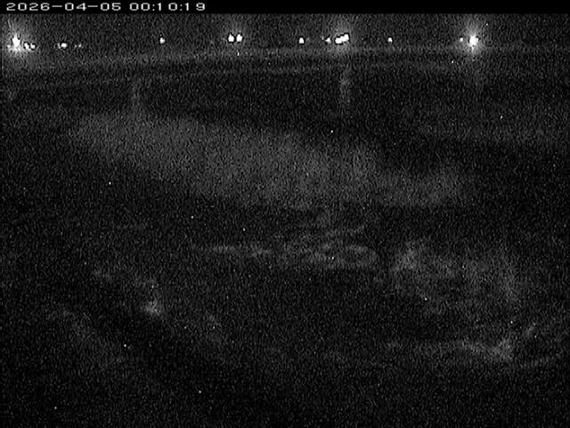 八東川１2026/04/05 3:30:00