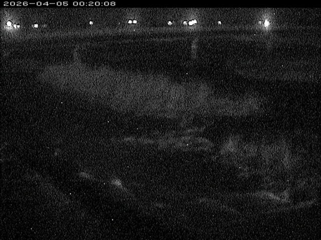 八東川１2026/04/05 3:30:00