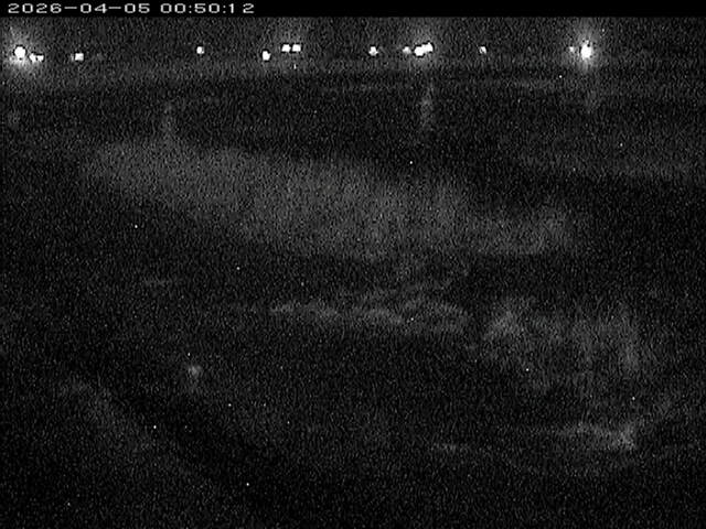 八東川１2026/04/05 3:30:00