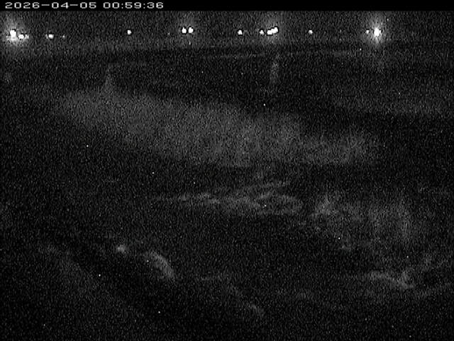 八東川１2026/04/05 3:30:00