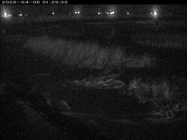 八東川１2026/04/05 3:30:00