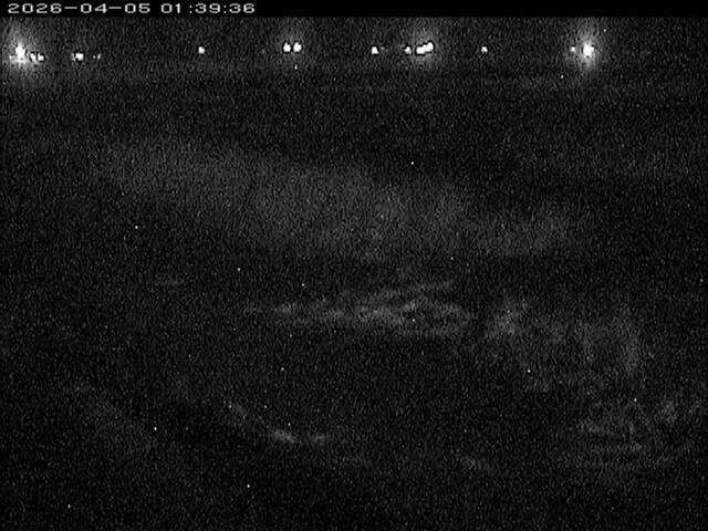 八東川１2026/04/05 3:30:00