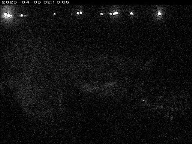 八東川１2026/04/05 3:30:00