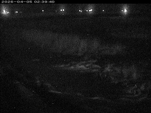 八東川１2026/04/05 3:30:00