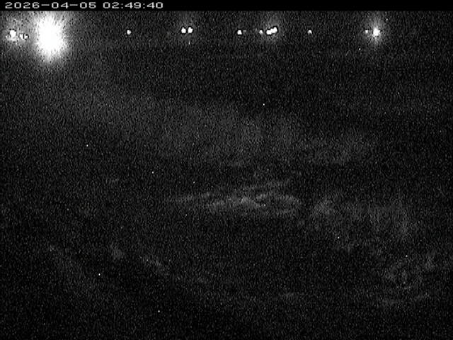 八東川１2026/04/05 3:30:00