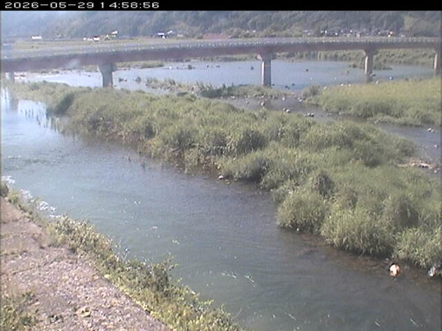 八東川１2026/05/30 3:30:00