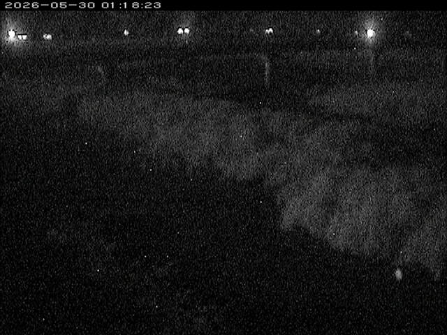 八東川１2026/05/30 3:30:00