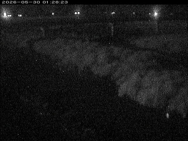 八東川１2026/05/30 3:30:00