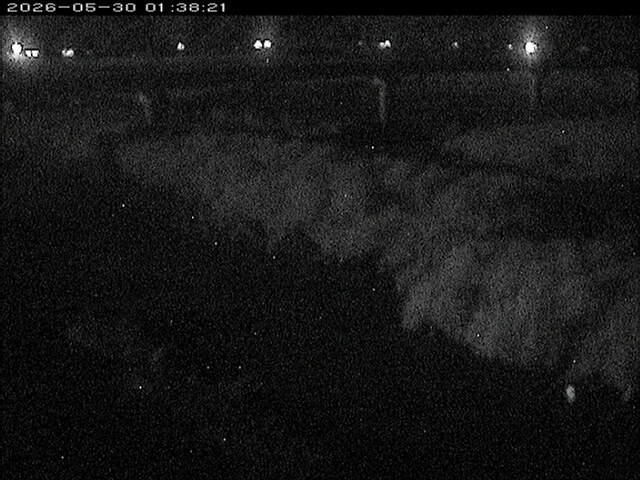 八東川１2026/05/30 3:30:00
