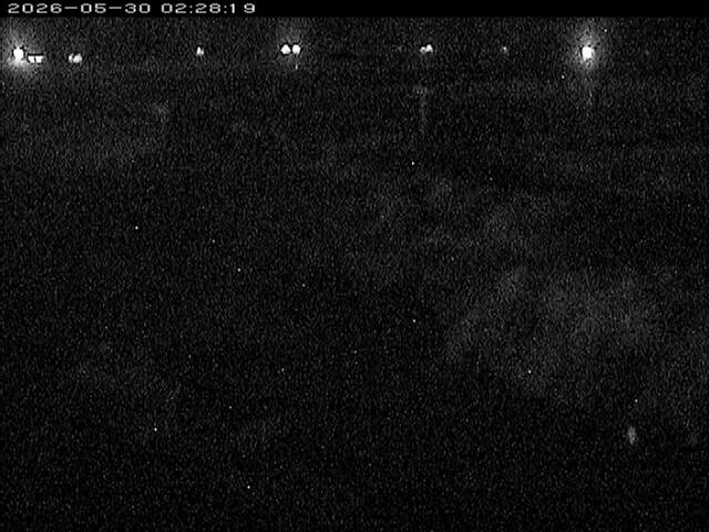 八東川１2026/05/30 3:30:00