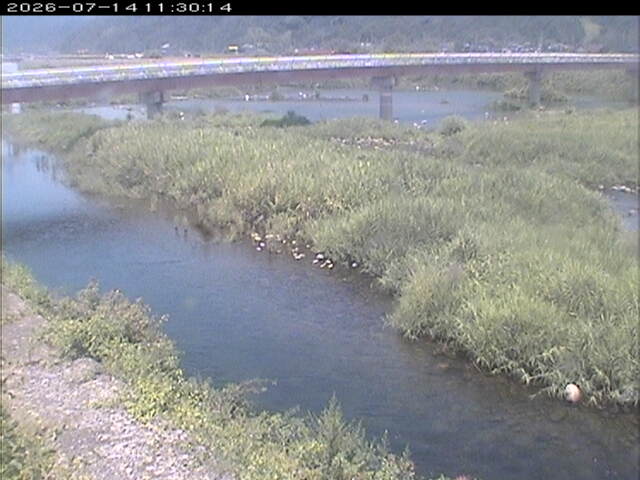 八東川１2026/07/14 15:20:00