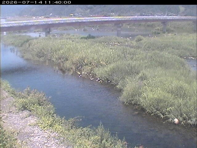 八東川１2026/07/14 15:20:00
