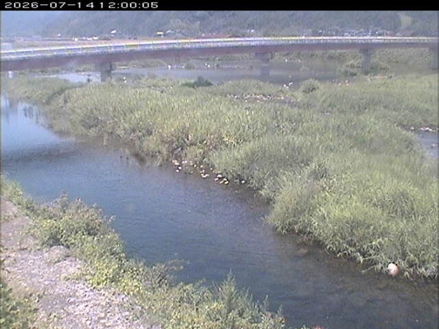 八東川１2026/07/14 15:20:00