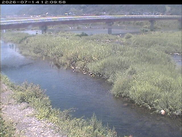 八東川１2026/07/14 15:20:00